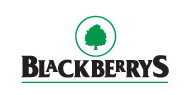 blackberrys-clothing-1